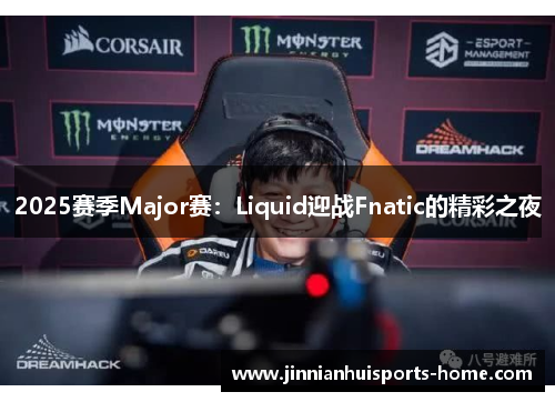 2025赛季Major赛：Liquid迎战Fnatic的精彩之夜